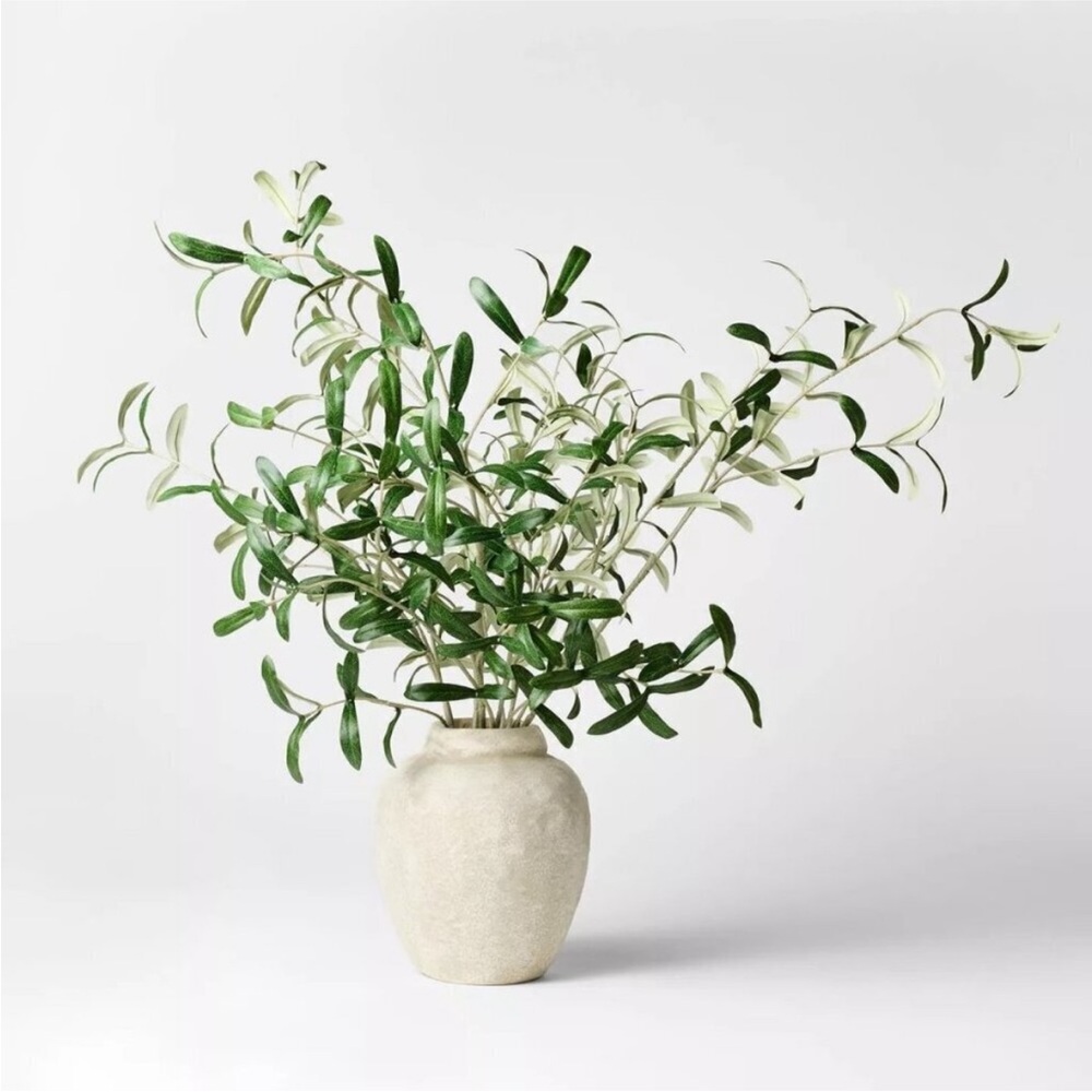 Olive Leaf Potted Arrangement - Threshold designed with Studio McGee